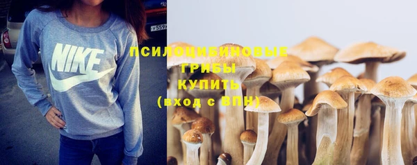 а пвп мука Киреевск