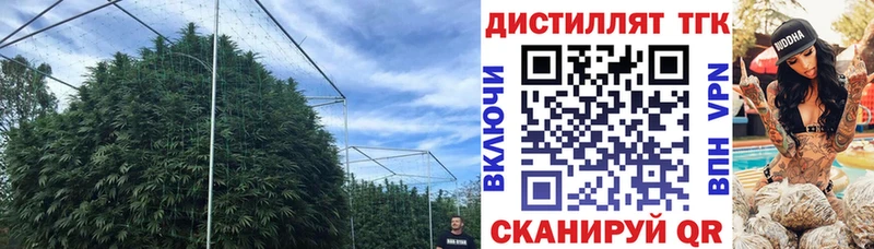 Дистиллят ТГК THC oil мориарти как зайти Новошахтинск