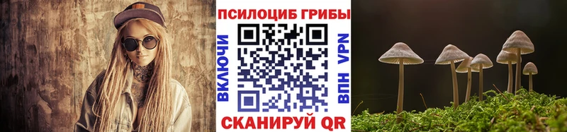 Псилоцибиновые грибы Magic Shrooms  Новошахтинск 